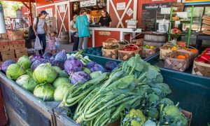Bradenton Area Farm Guide