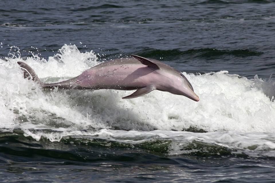 paradise tours bradenton beach