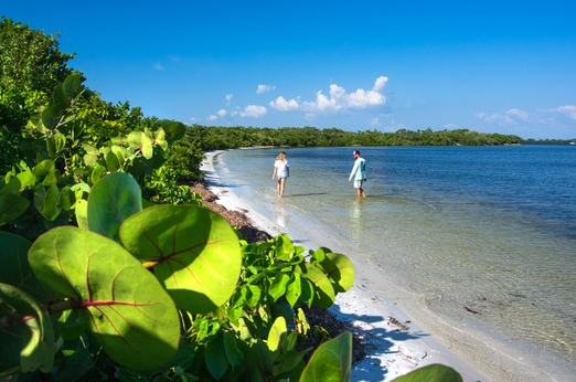 beach image