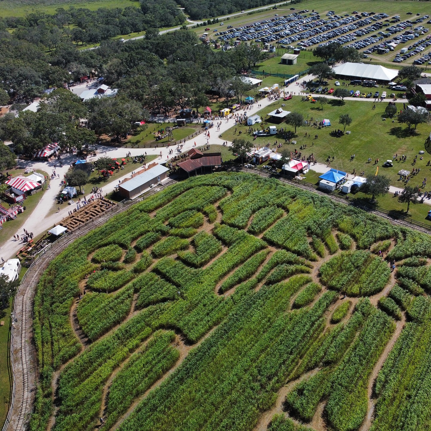 Aerial view of a corn maze festival.
