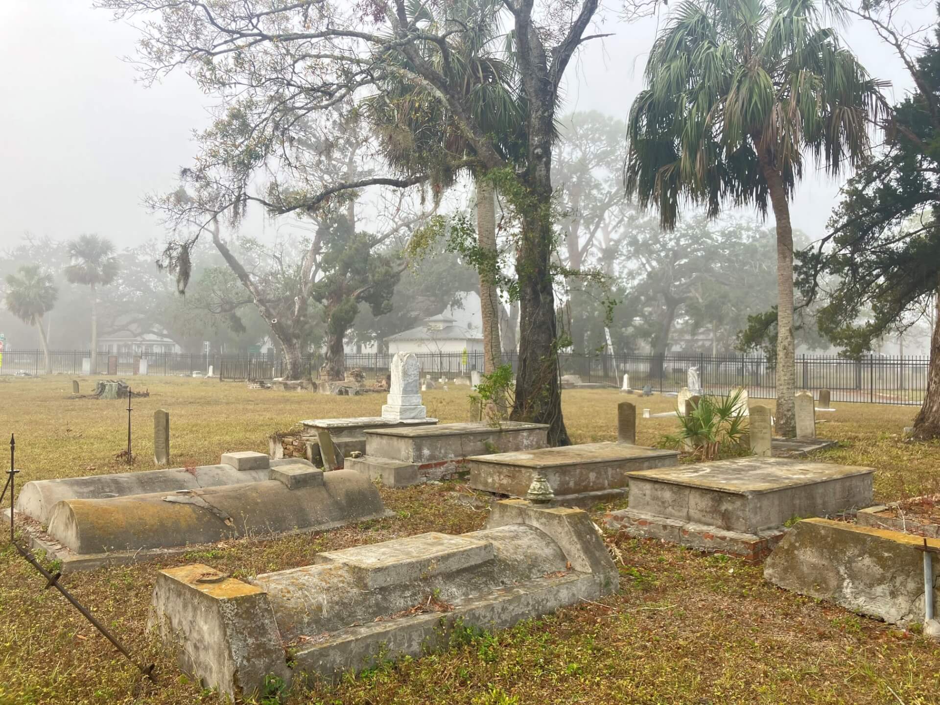 Curry Plot foggy morning - Manatee Village Historical Park