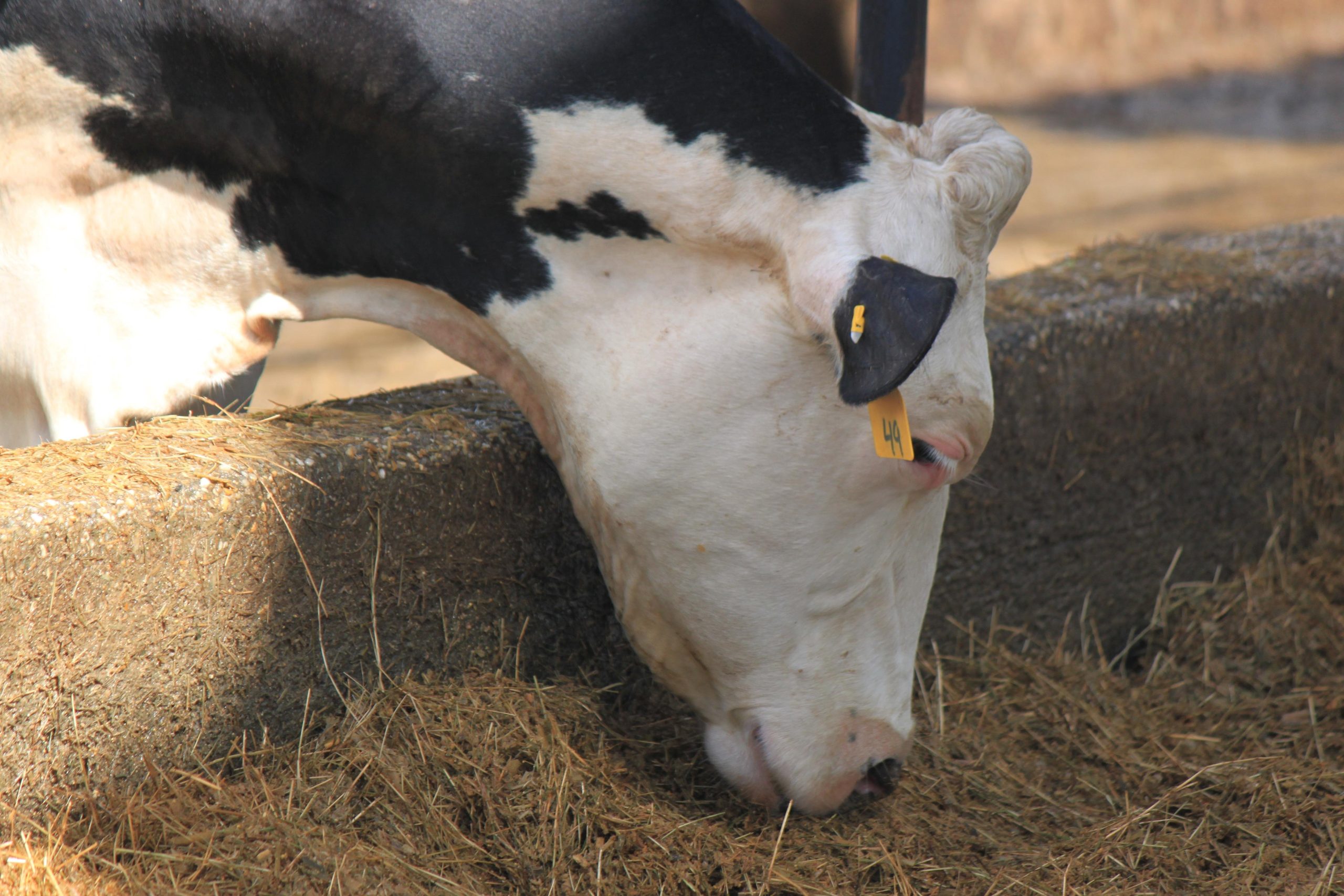 Bradenton Area Farm Guide