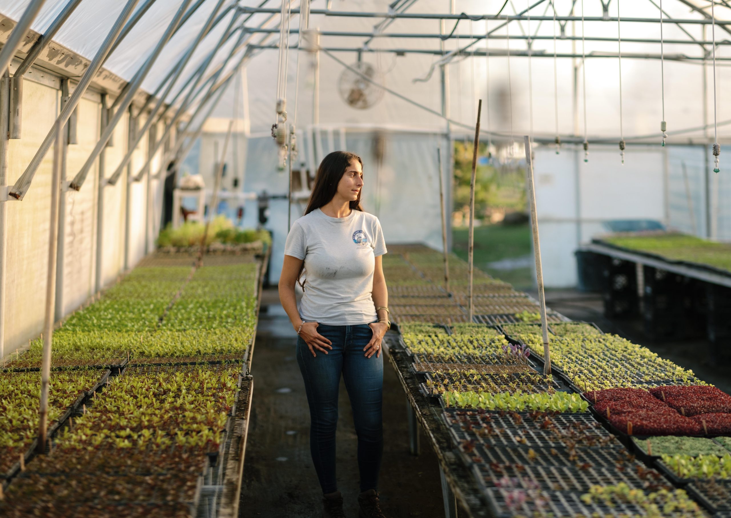 Bradenton Area Farm Guide