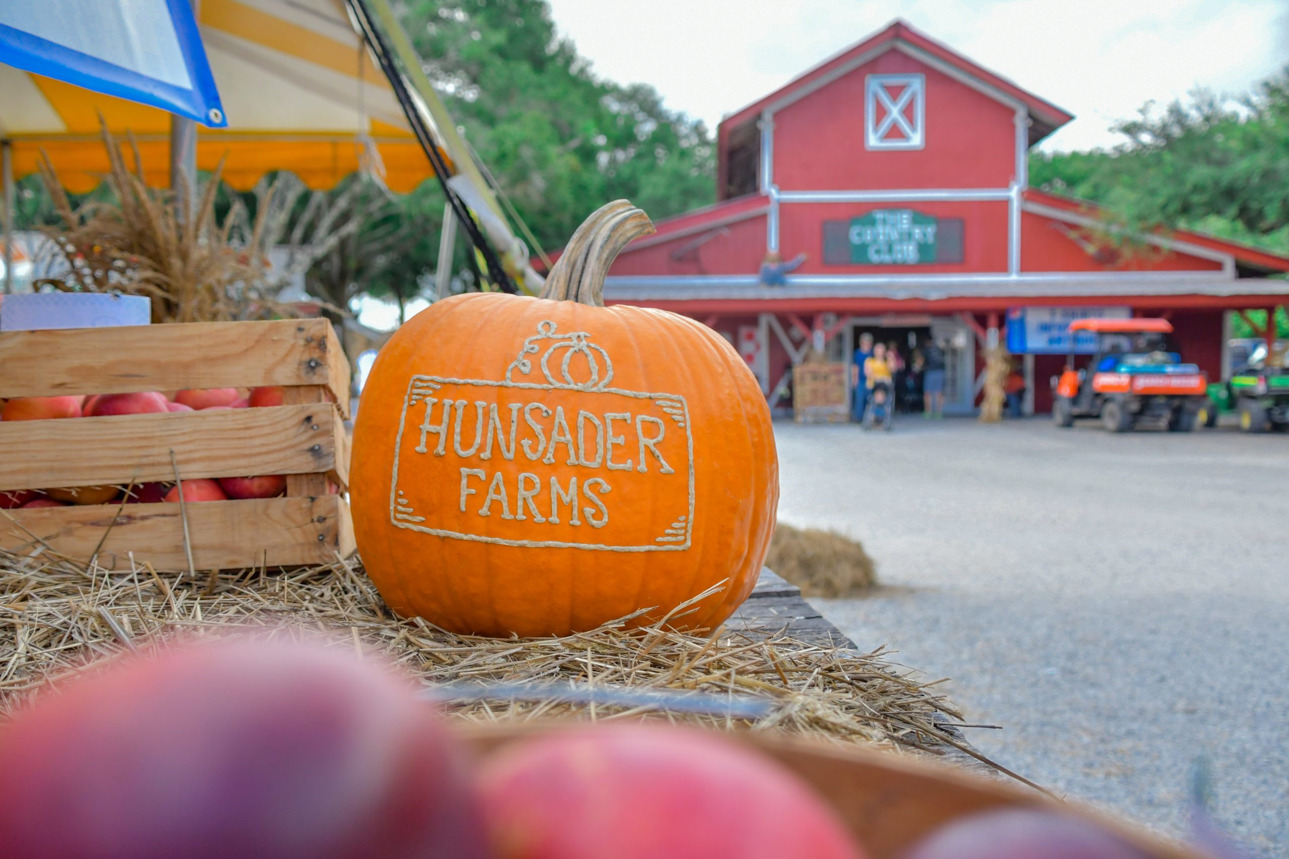 Pumpkin at Hunsader Farms entrance