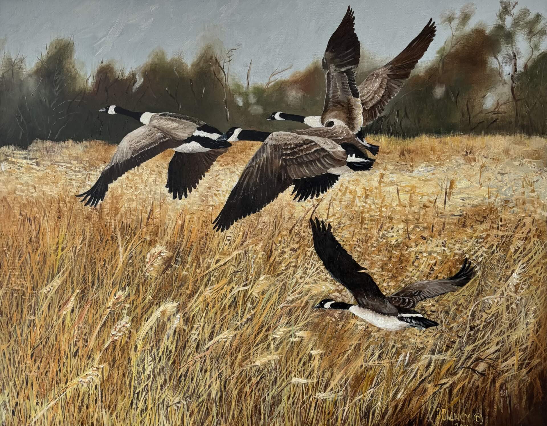 Painting of geese headed south.
