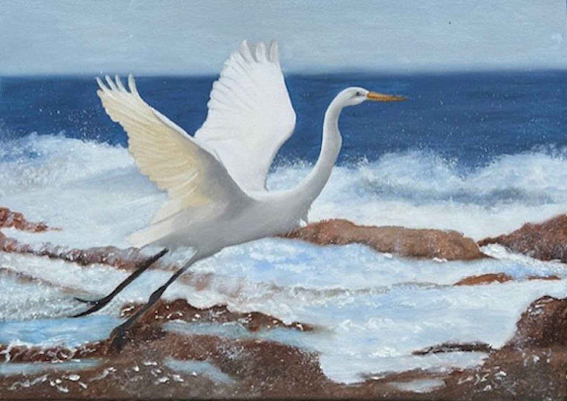 Jean Cipriano Great White Heron painting - Island Studios and Gallery