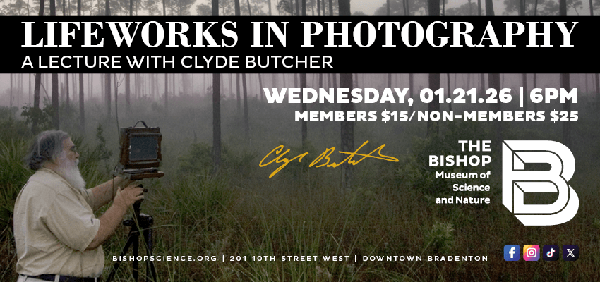 Clyde Butcher - Bishop Museum poster