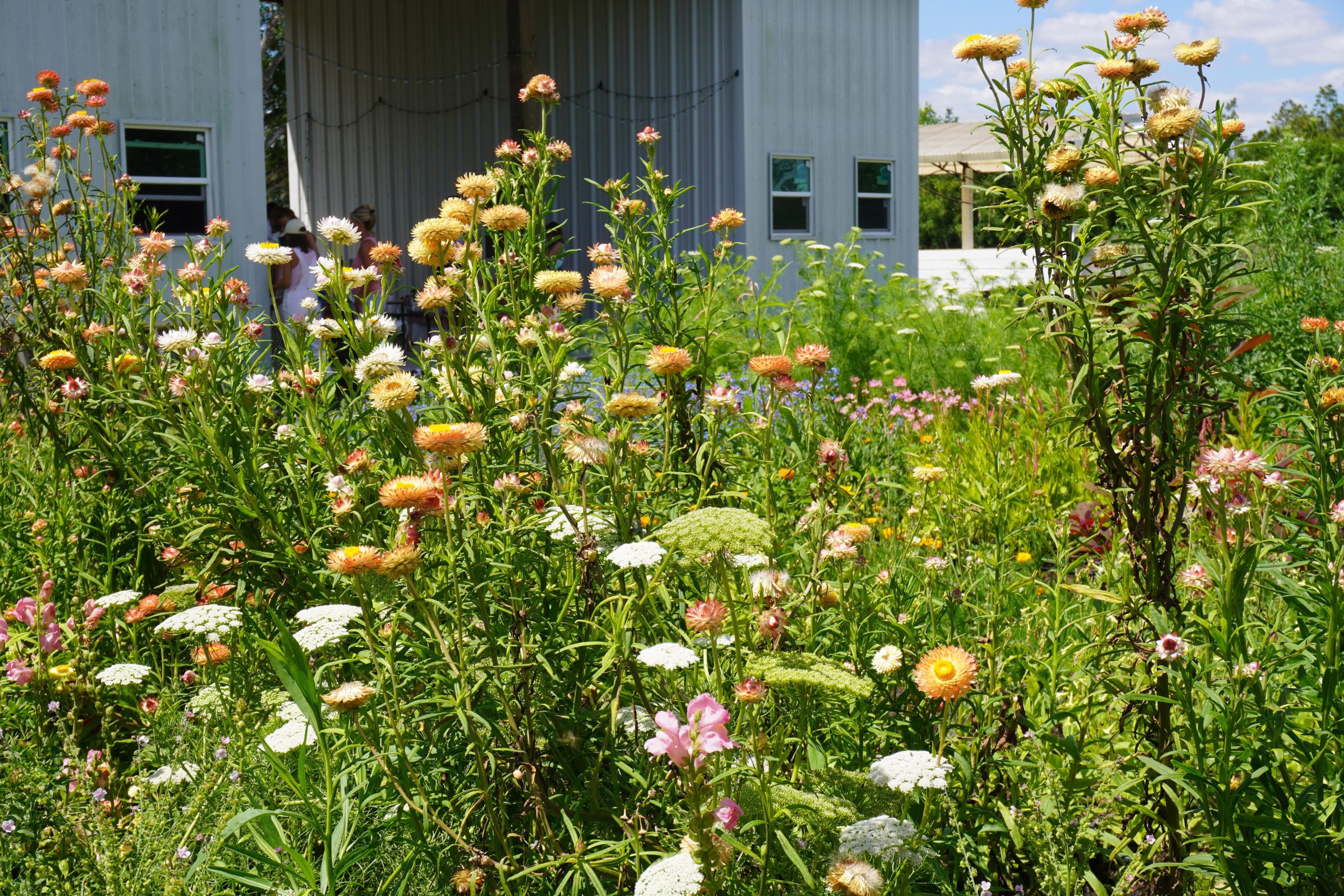 Bradenton Area Farm Guide