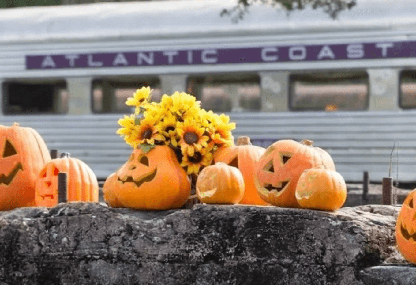 Carved pumpkins with sunflowers backdrop and a train