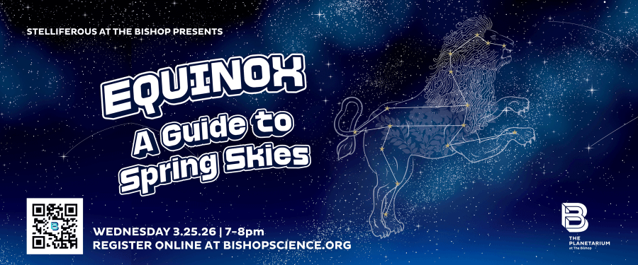 Stelliferous - Equinox poster, The Bishop