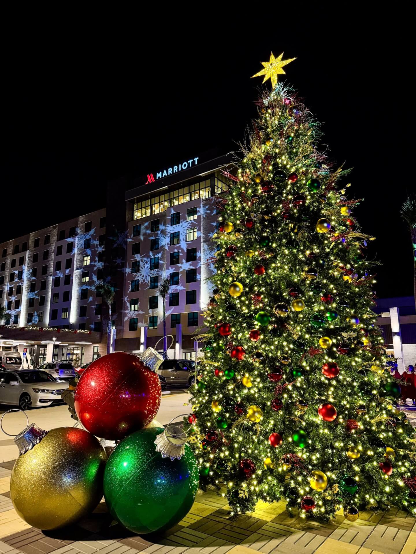 Christmas Tree at Palmetto Marriott