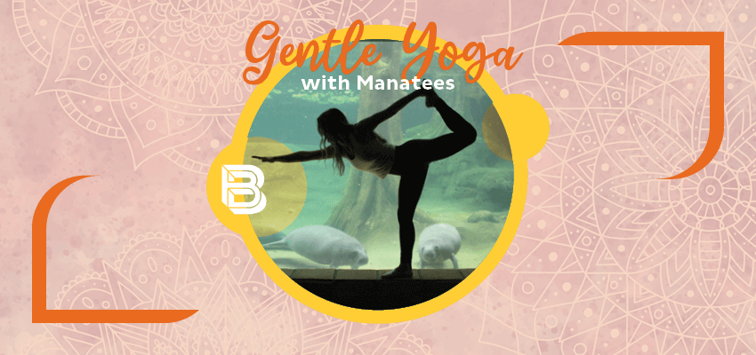 gentle yoga with manatess promotion graphic