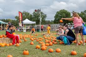 People picking pumpkins at festival