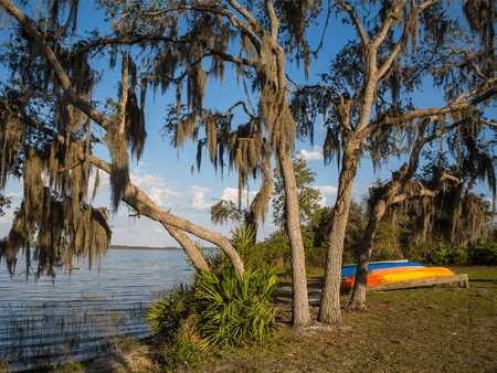 kayaks along the banks of Lake Manatee